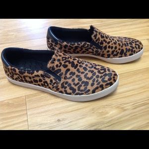 Dr. Scholl's - Scout